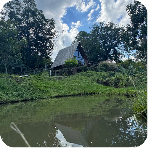 FOTO 105